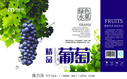 紫色创意现代水果葡萄包装盒